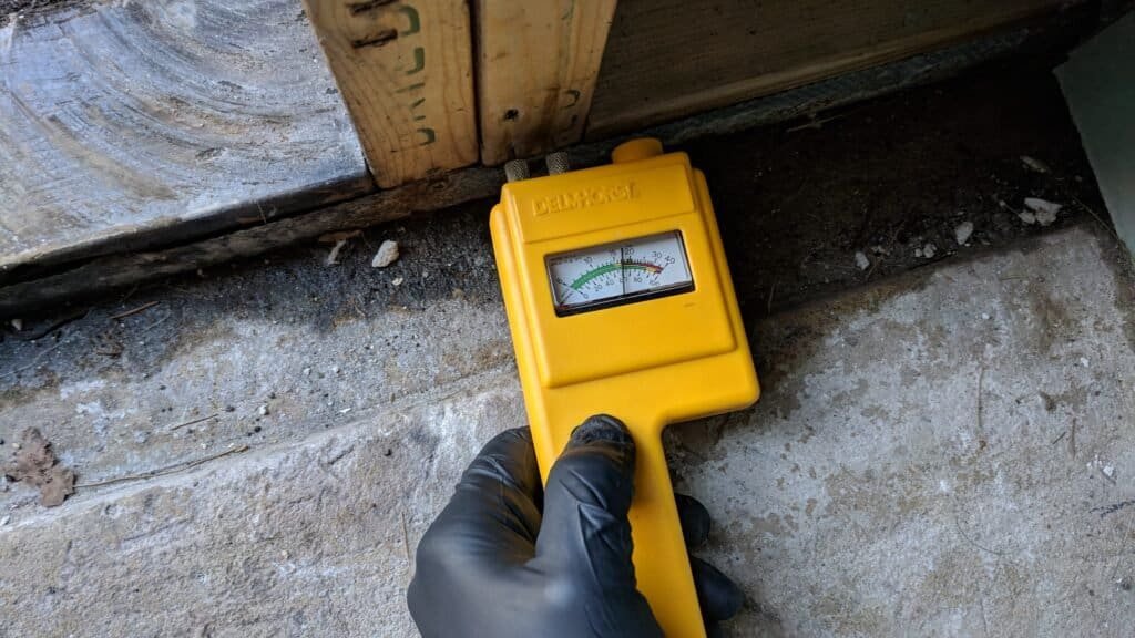 What is the significance of using a moisture meter during mold inspections?