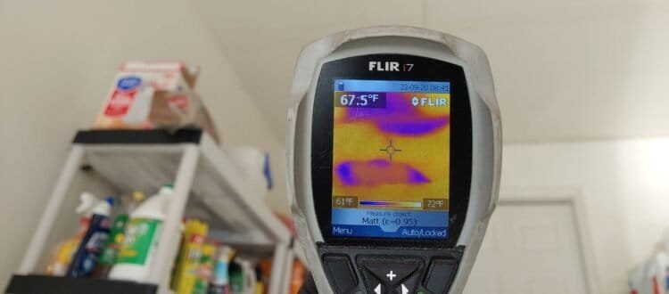 What are the advantages of using a professional-grade moisture meter for home inspectors dealing with mold?