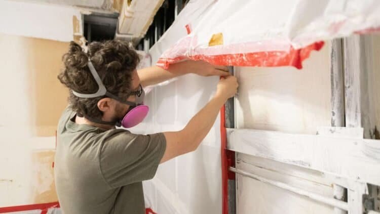 DIY Mold Remediation: Safe or Risky? Unveiling the Truth for Homeowners