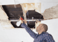 How to Choose the Right Mold Remediation Company: Essential Factors to Consider