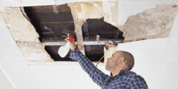 How to Choose the Right Mold Remediation Company: Essential Factors to Consider
