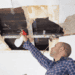 How to Choose the Right Mold Remediation Company: Essential Factors to Consider
