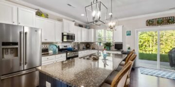 How to Create a Mold-Safe Environment for Allergy Sufferers: Effective Tips and Techniques