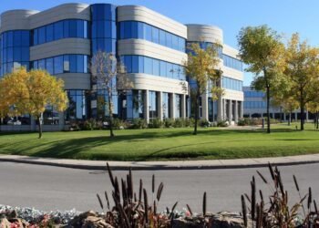 Mold Remediation for Commercial Properties: A Guide for Business Owners