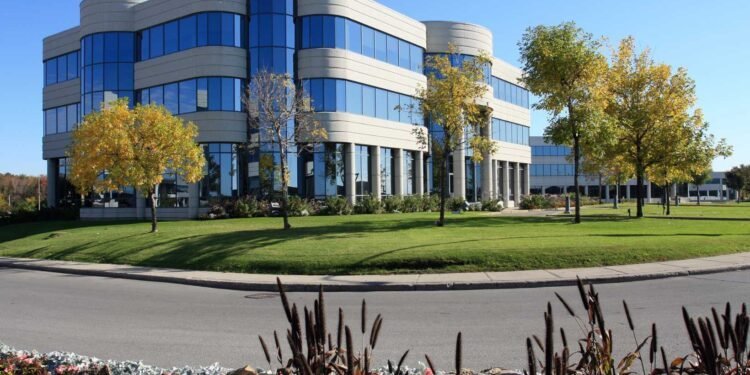 Mold Remediation for Commercial Properties: A Guide for Business Owners