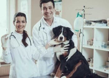 Mold Toxicity in Pets: Essential Information for Owners