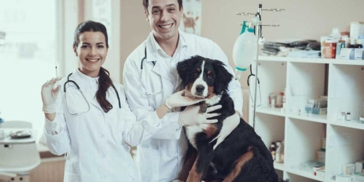 Mold Toxicity in Pets: Essential Information for Owners