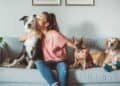 Mold and Pets: A Guide to Safeguard Their Well-being