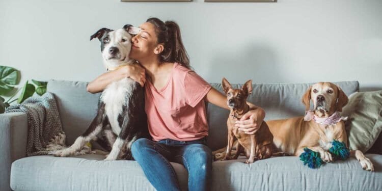 Mold and Pets: A Guide to Safeguard Their Well-being