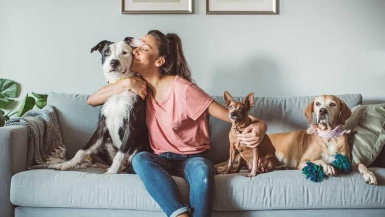 Mold and Pets: A Guide to Safeguard Their Well-being
