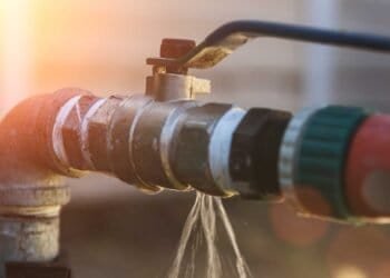 Preventing Mold After Water Damage: Essential Steps