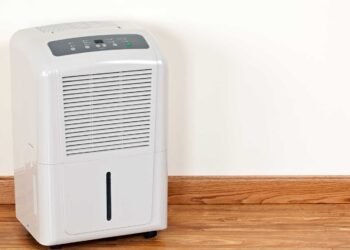 Preventing Mold Recurrence: Effective Post-Remediation Maintenance Strategies