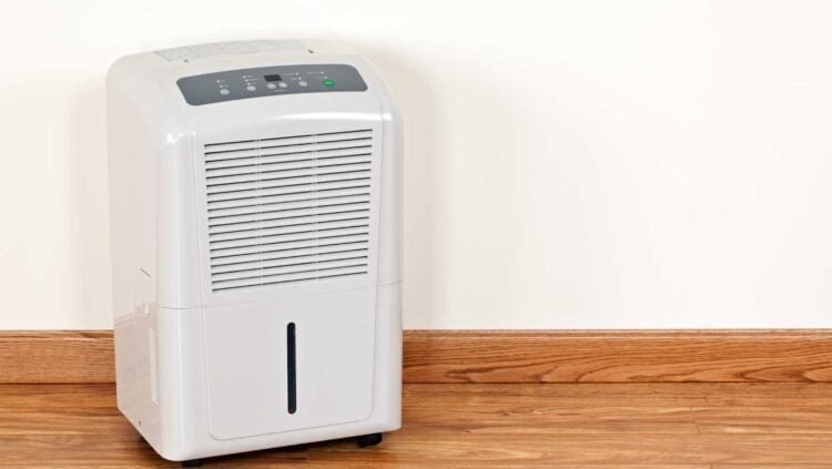 Preventing Mold Recurrence: Effective Post-Remediation Maintenance Strategies