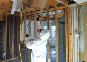 Professional Mold Remediation Process: What to Expect
