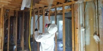 Professional Mold Remediation Process: What to Expect