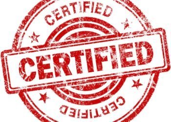 Professional Mold Remediation- Why Certification Matters for Safe and Effective Treatment