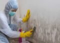 Say Goodbye to Mold: Effective Strategies for Successful Mold Damage Removal