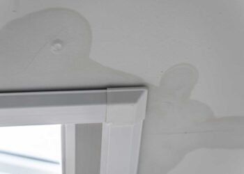 The First 24 Hours: Minimizing Water Damage with Critical Steps