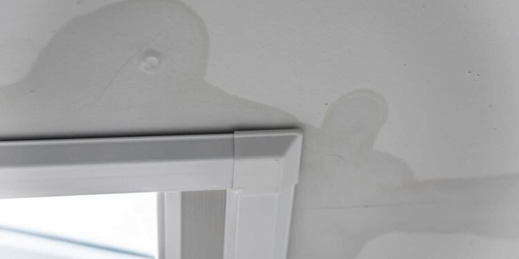 The First 24 Hours: Minimizing Water Damage with Critical Steps