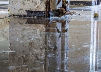 The Hidden Dangers of Water Damage: Health Risks and Mitigation