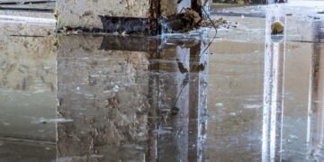 The Hidden Dangers of Water Damage: Health Risks and Mitigation