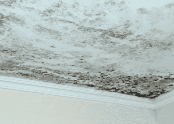 Mastering Humidity: Proven Tactics for Healthy Homes