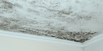 Mastering Humidity: Proven Tactics for Healthy Homes