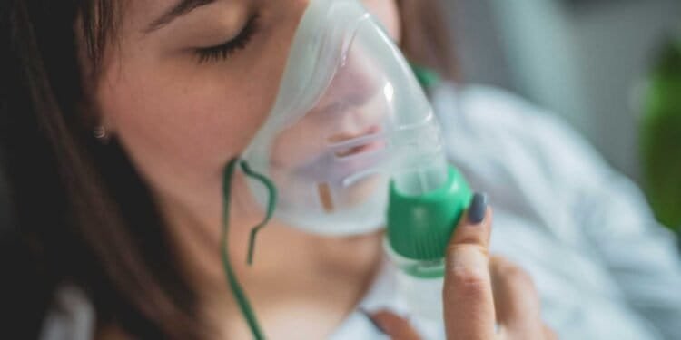 The Link Between Mold Exposure and Respiratory Issues- A Concise Analysis