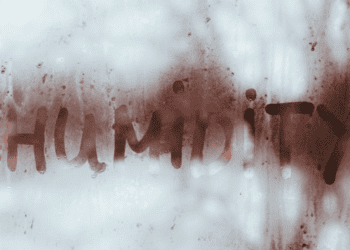 Mastering Humidity: Proven Tactics for Healthy Homes