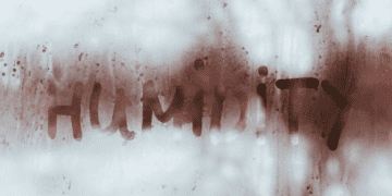 Mastering Humidity: Proven Tactics for Healthy Homes