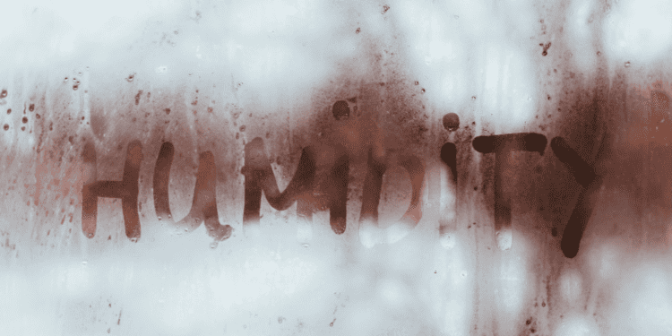 Mastering Humidity: Proven Tactics for Healthy Homes