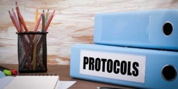 Understanding Mold Remediation Protocols: Expert Strategies Uncovered