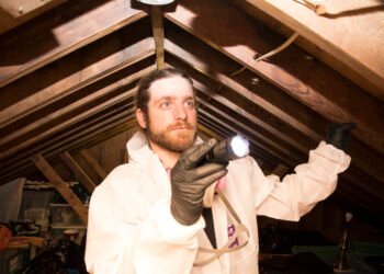 The Ultimate Guide to Understanding Mold Types and Health Risks:A Comprehensive Overview