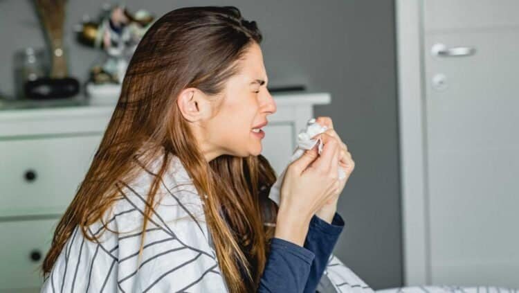 Air Purifiers for Mold Allergies: A Clear Answer to Whether They Really Work