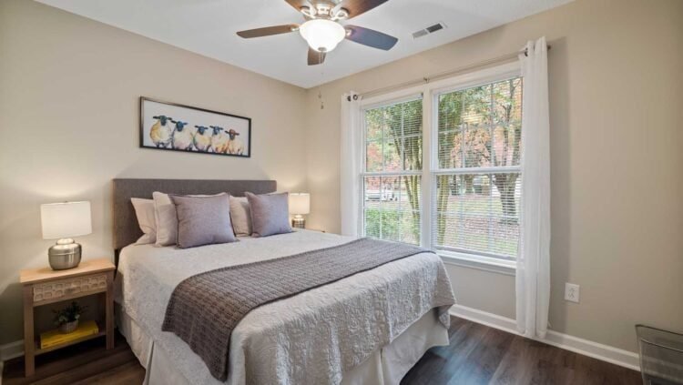 Creating an Allergy-Proof Bedroom: A Guide for Mold Allergy Sufferers