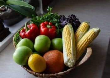 Detoxifying Your Life: Removing Mold to Restore Your Energy