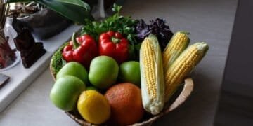 Detoxifying Your Life: Removing Mold to Restore Your Energy