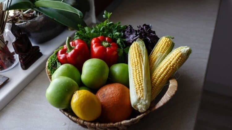 Detoxifying Your Life: Removing Mold to Restore Your Energy