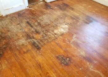 Essential First Steps to Take After Experiencing Water Damage in Your Home