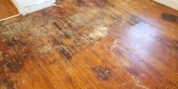 Essential First Steps to Take After Experiencing Water Damage in Your Home