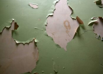 From Detection to Protection: A Comprehensive Guide to Lead Paint Safety for Homeowners
