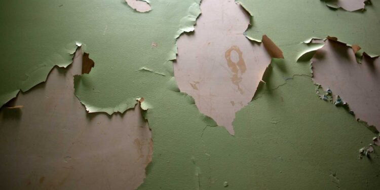 From Detection to Protection: A Comprehensive Guide to Lead Paint Safety for Homeowners
