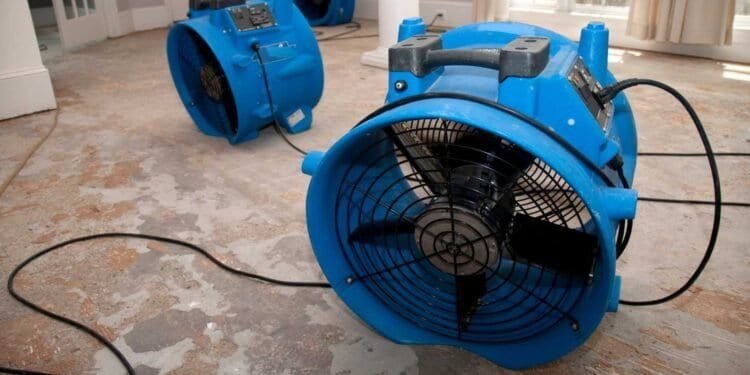 Green Restoration: Eco-Friendly Practices in Water Damage Cleanup