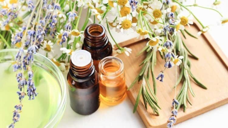 Holistic Approaches to Combating Chronic Fatigue Caused by Mold