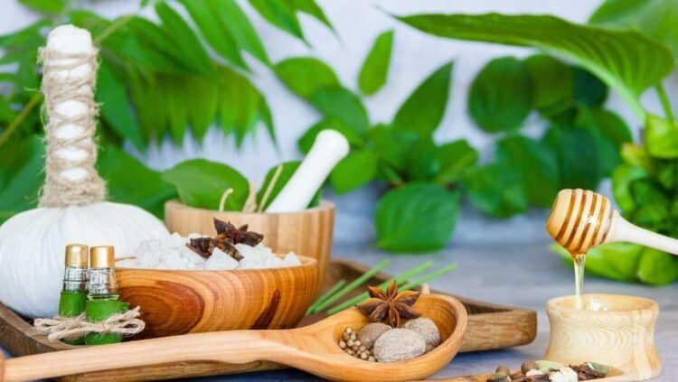 Integrative Health Approaches for Chronic Fatigue Caused by Mold