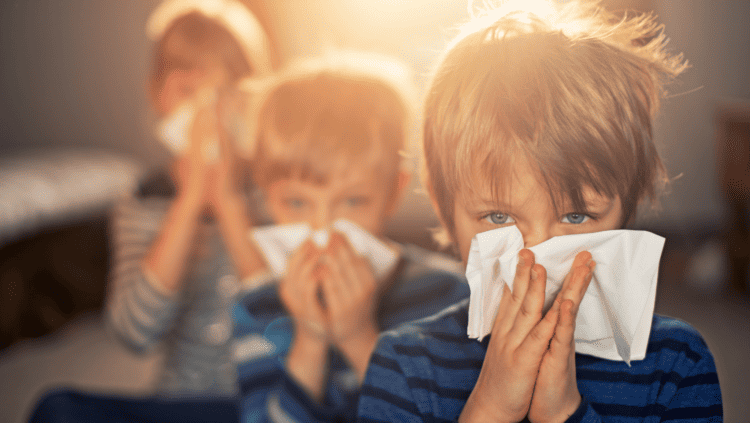 Mold Allergy vs. Seasonal Allergies: How to Tell the Difference