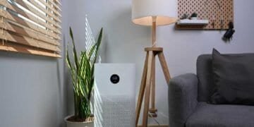 Preventing Aspergillosis: Strategies to Reduce Mold in Your Home