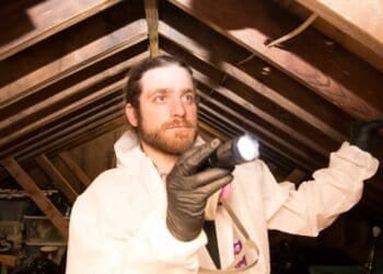 The Comprehensive Approach: Professional Mold Inspections Offer More Than Just Testing