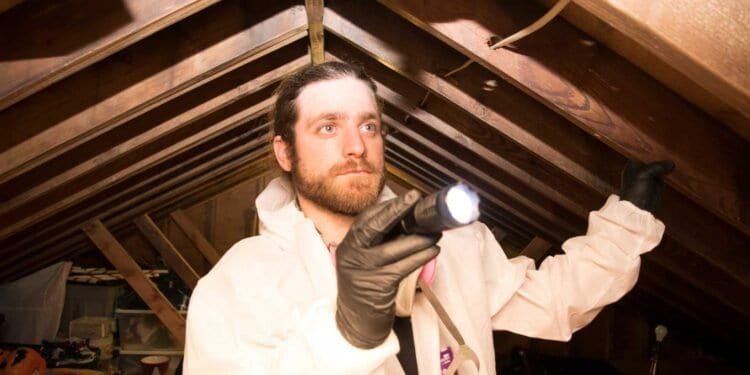 The Comprehensive Approach: Professional Mold Inspections Offer More Than Just Testing