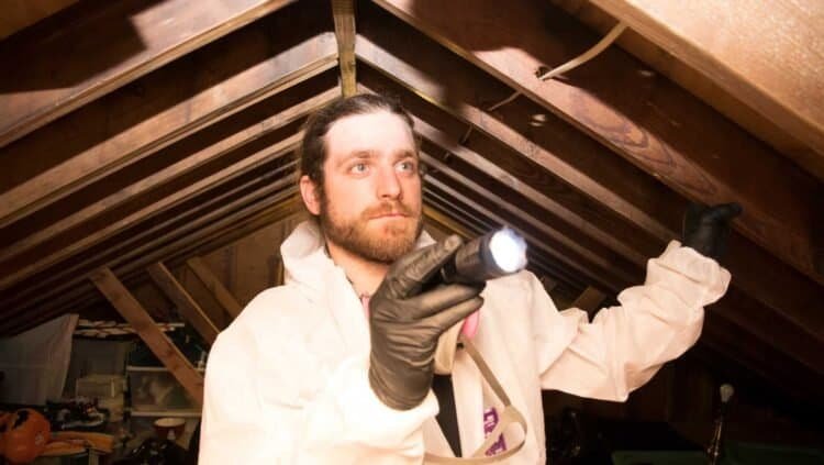 The Comprehensive Approach: Professional Mold Inspections Offer More Than Just Testing